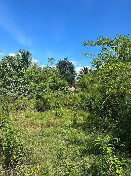 RIO NEUVO, ST MARY JAMAICA - Land