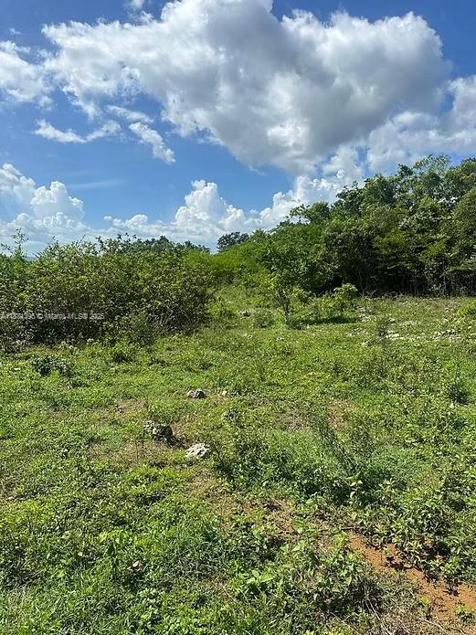 RIO NEUVO, ST MARY JAMAICA - Land