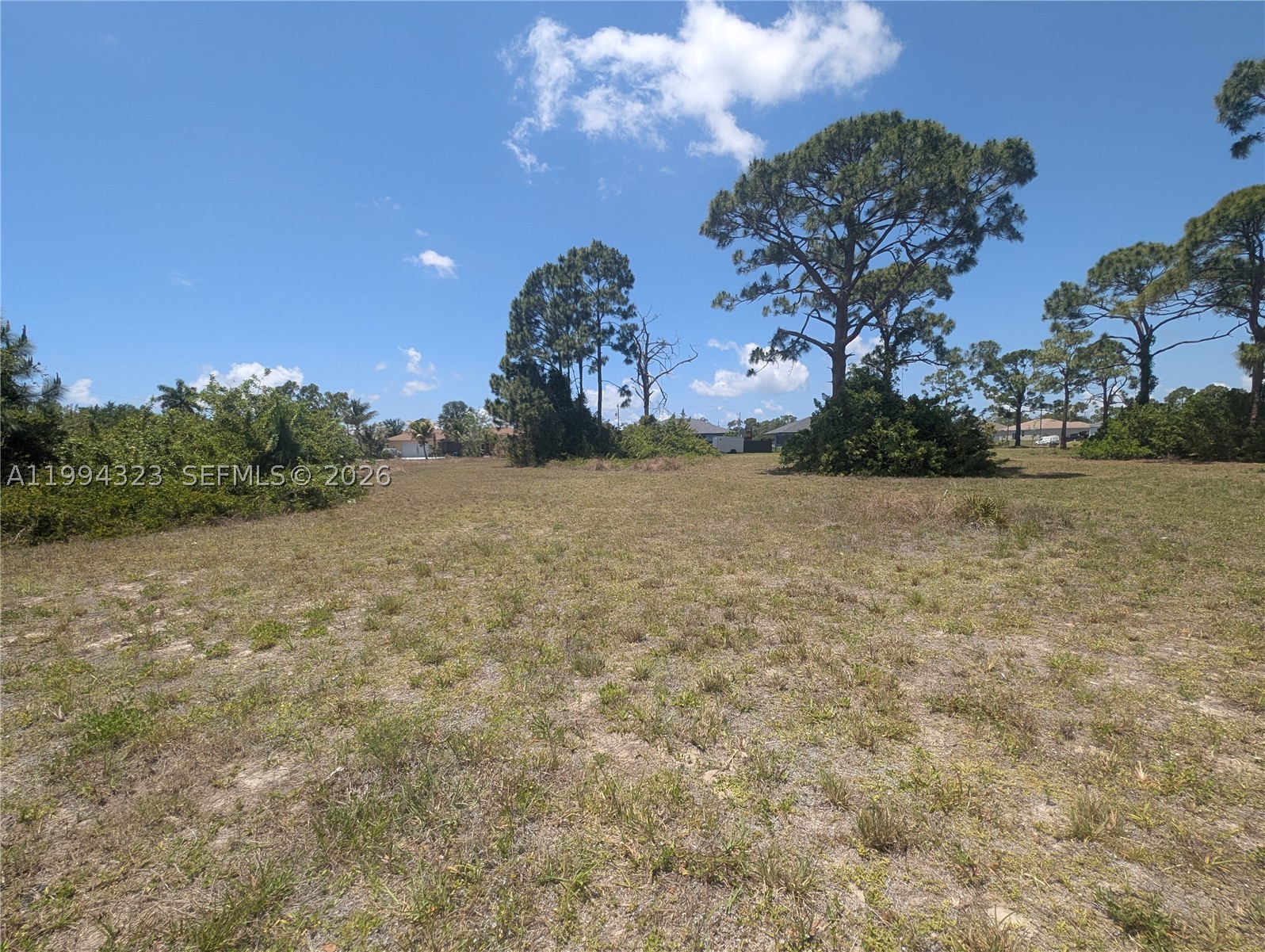 CAPE CORAL UNIT 80 - Land