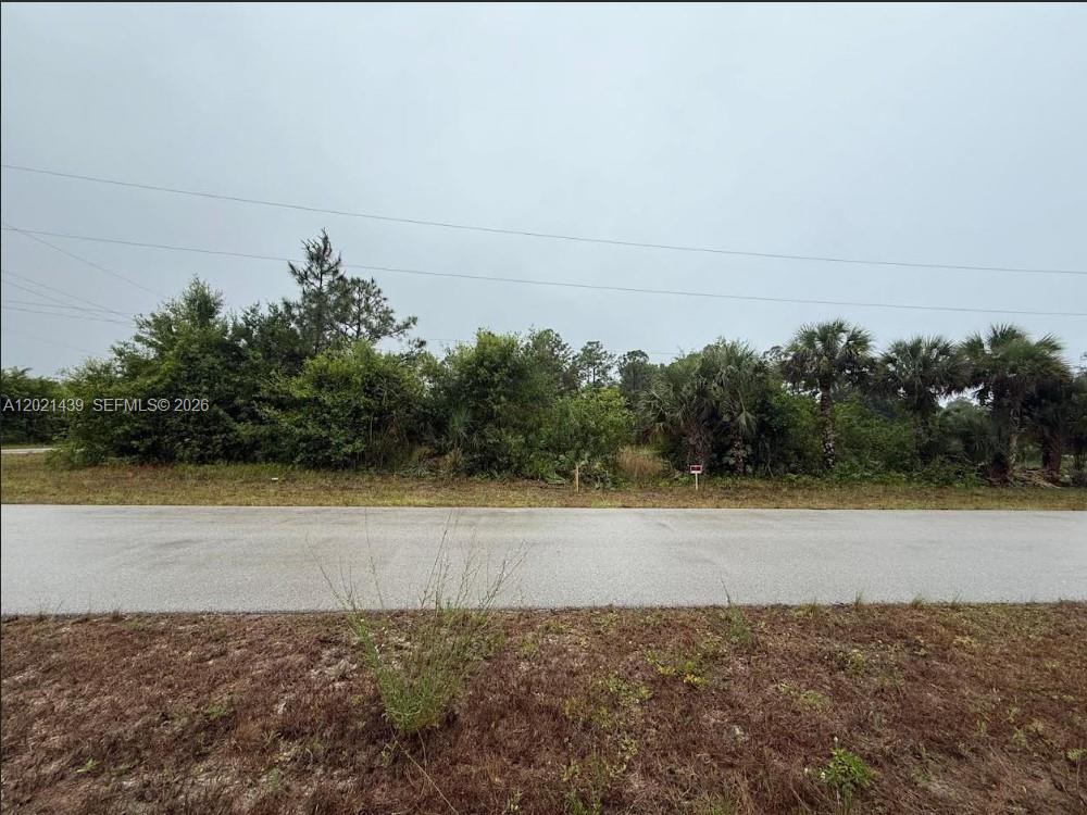 Lehigh Acres - Land