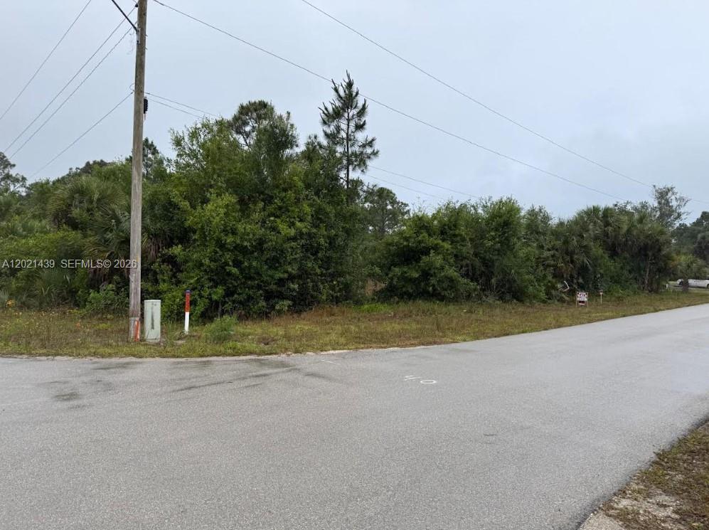 Lehigh Acres - Land