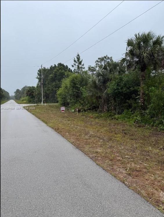 Lehigh Acres - Land