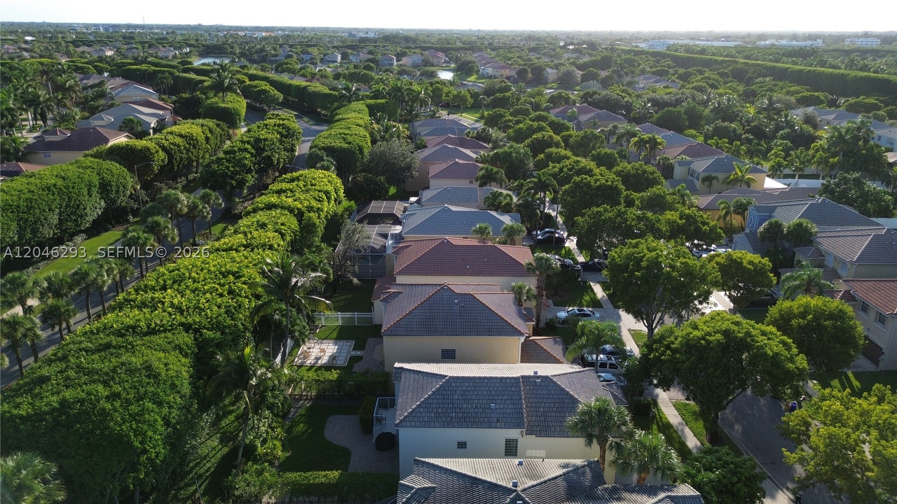 OLYMPIA 1 - Residential