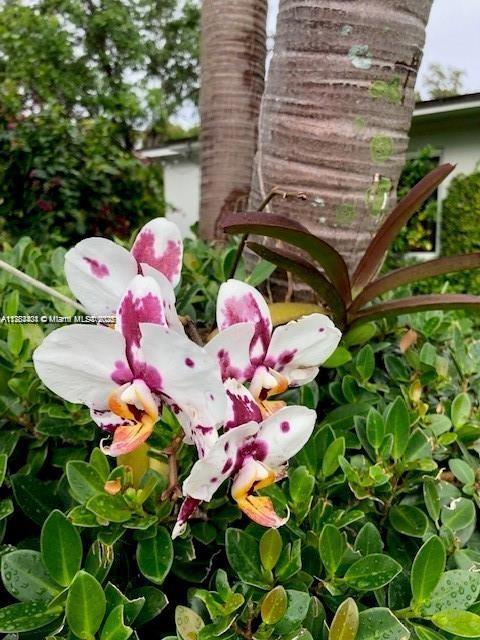 MIAMI SHORES SEC 6 - Residential Lease