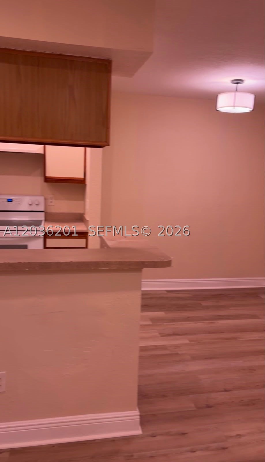 ROYAL POINCIANA CONDO - Residential