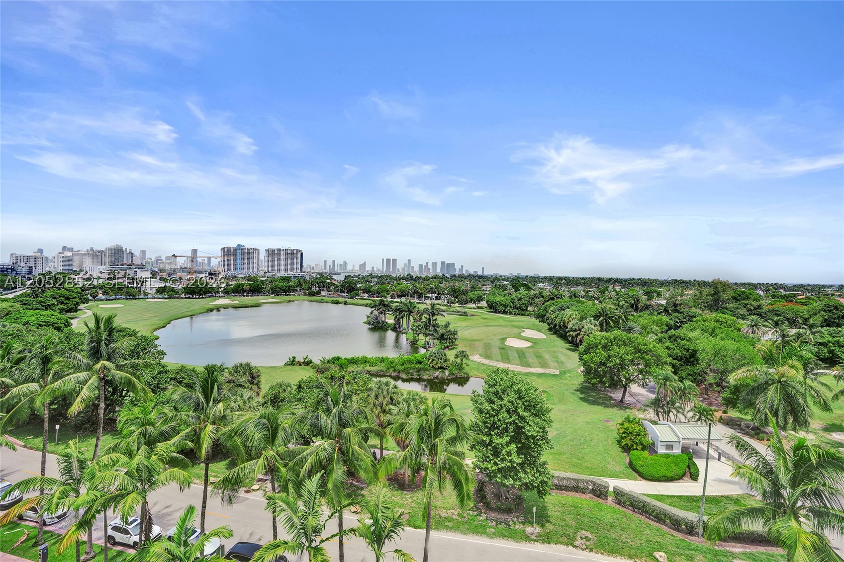 THE MERIDIAN CONDO - Residential