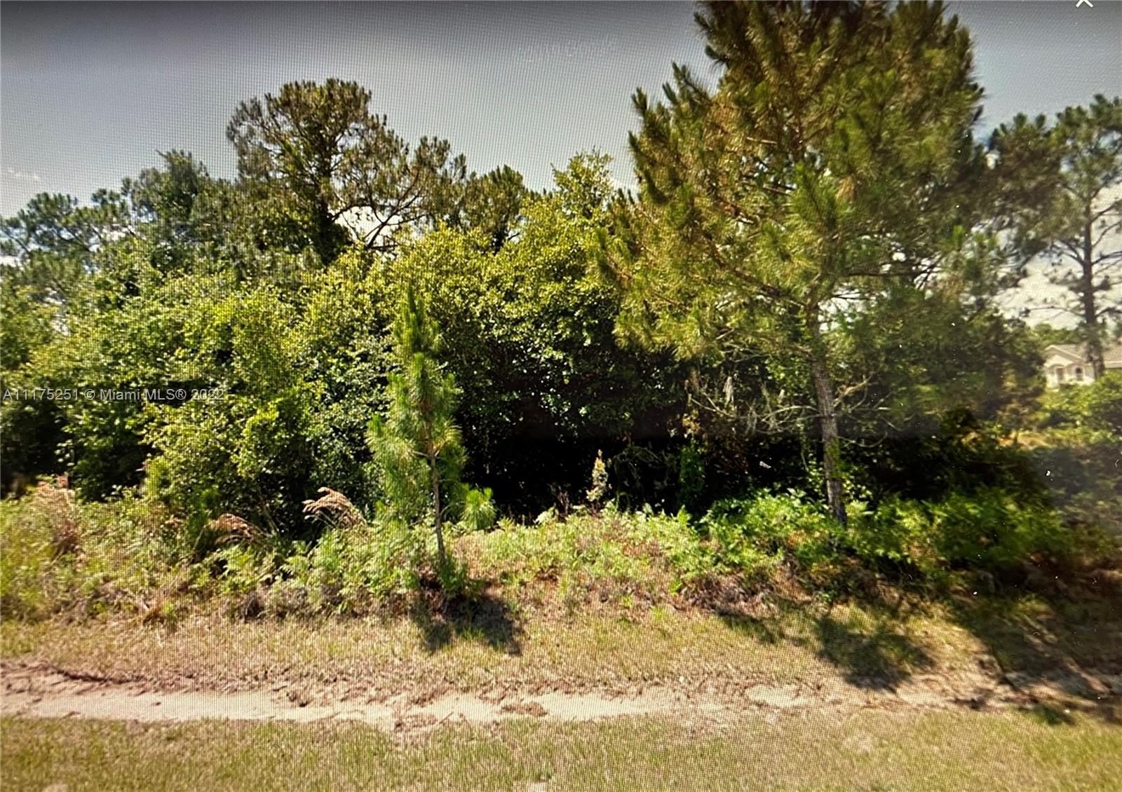POINCIANA NEIGHBORHOOD 4 V - Land
