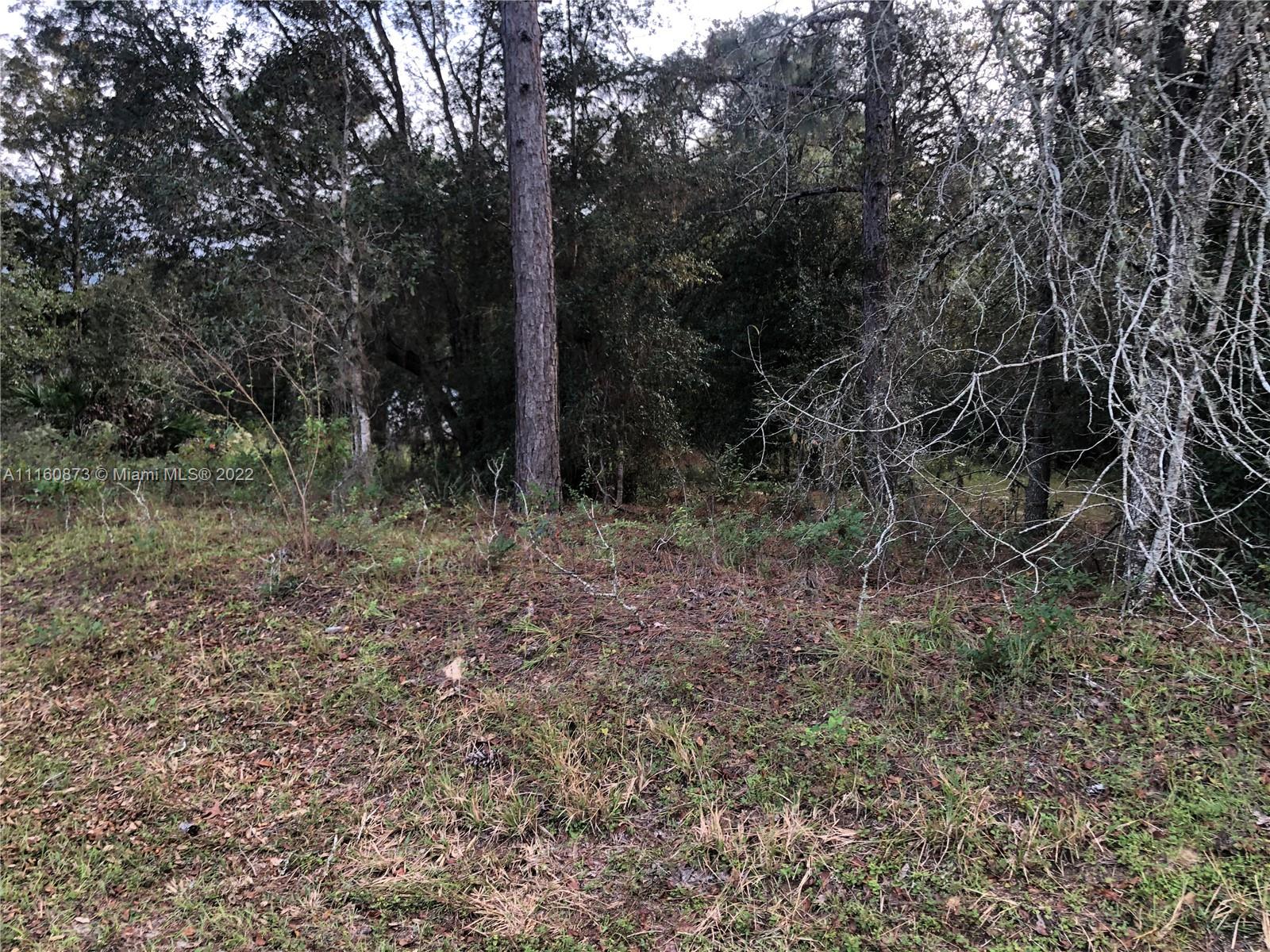 CLASSIC HILLS UNIT 2 - Land