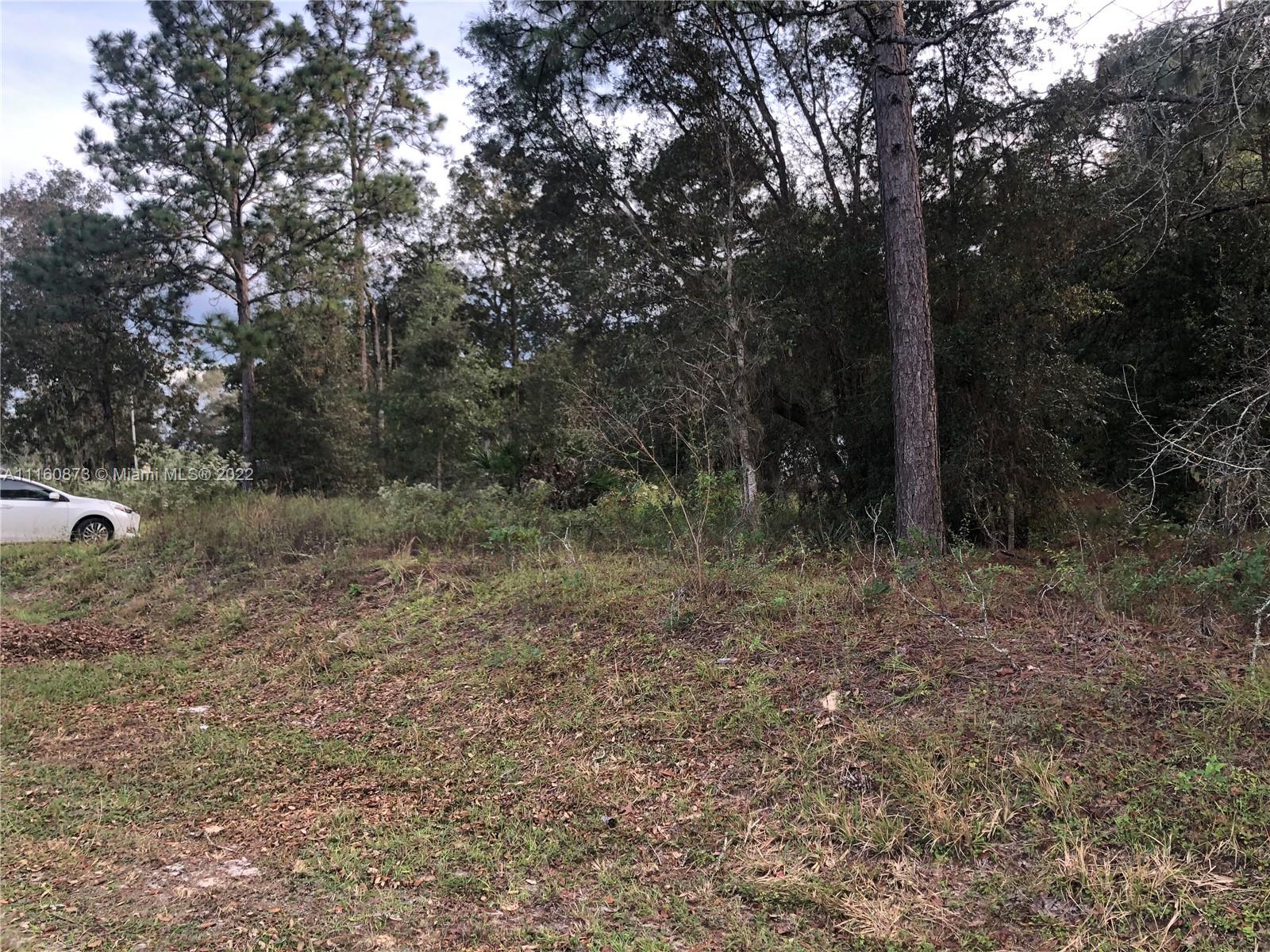 CLASSIC HILLS UNIT 2 - Land