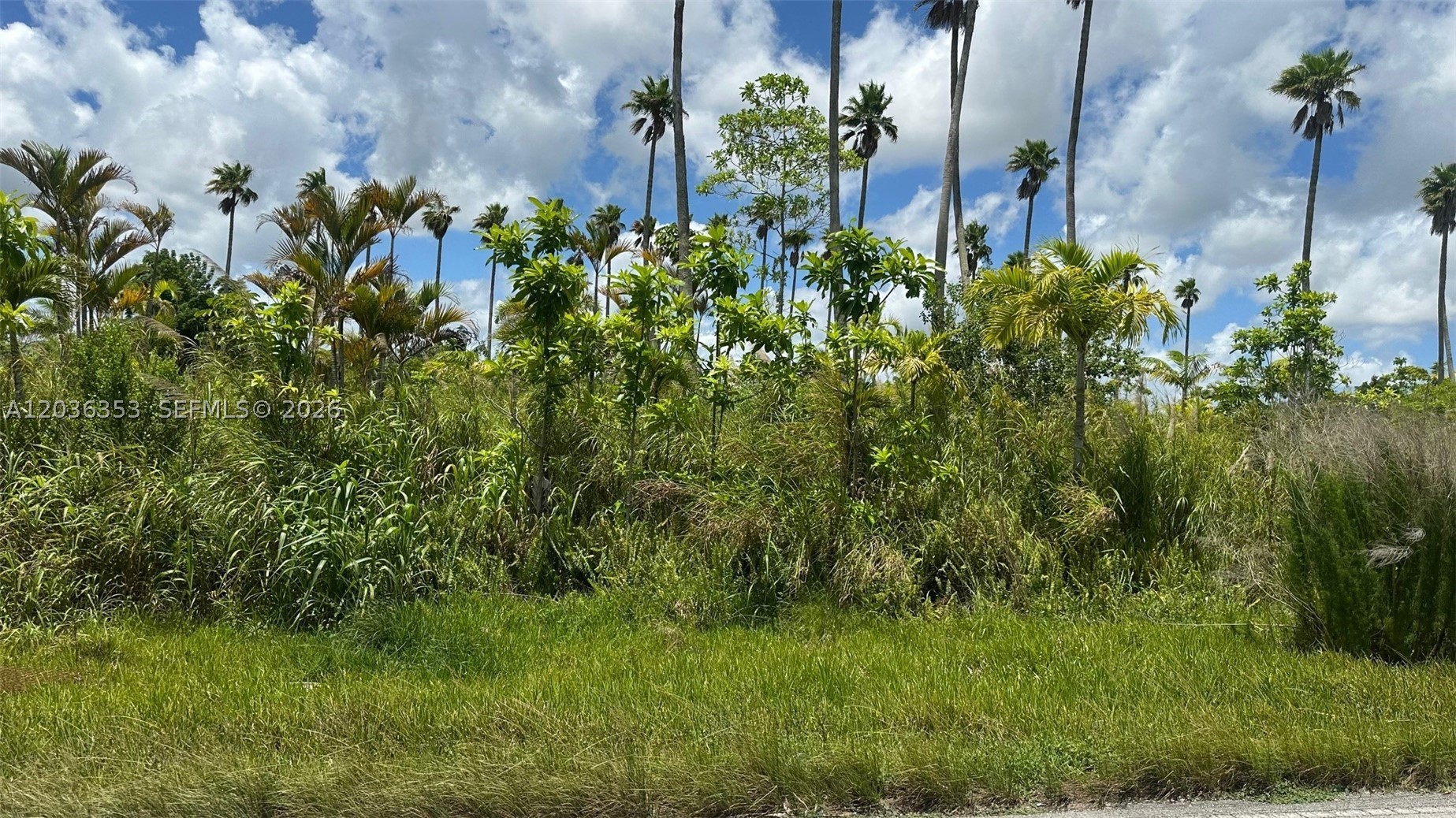 Redland - Land