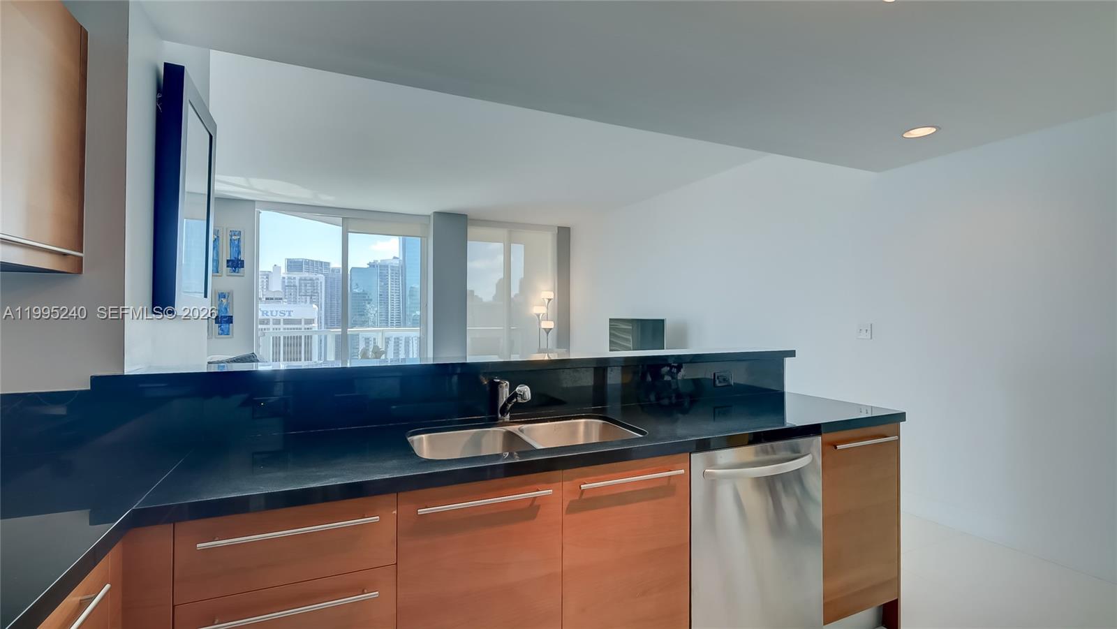 VIZCAYNE SOUTH CONDO - Residential