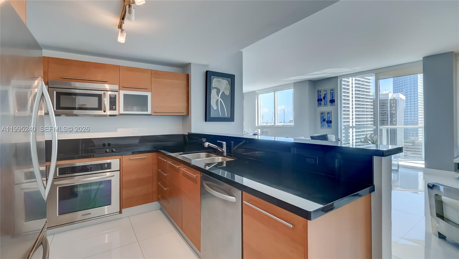 VIZCAYNE SOUTH CONDO - Residential