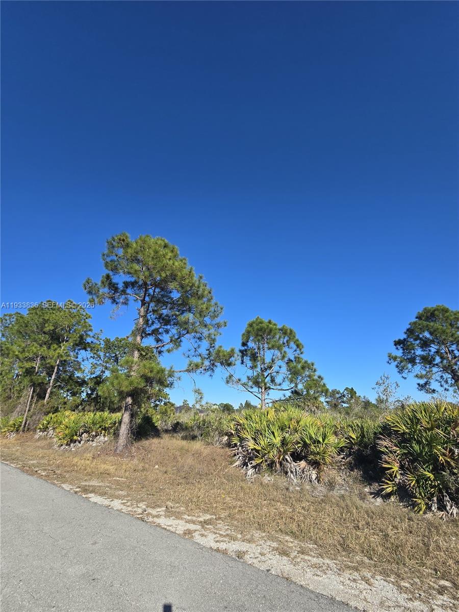 Lehigh Acres - Land