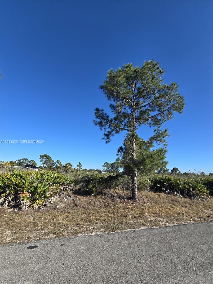Lehigh Acres - Land