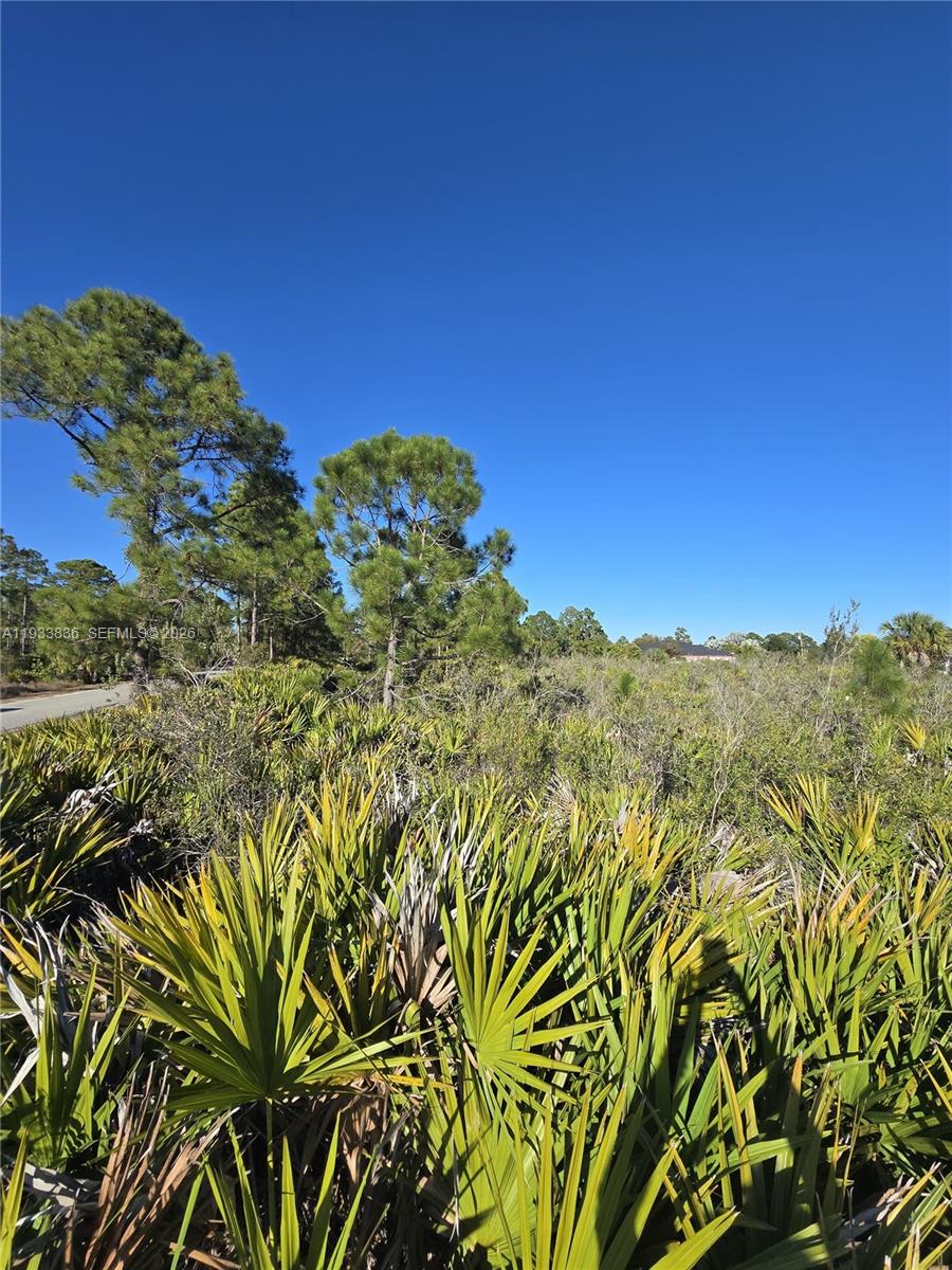 Lehigh Acres - Land
