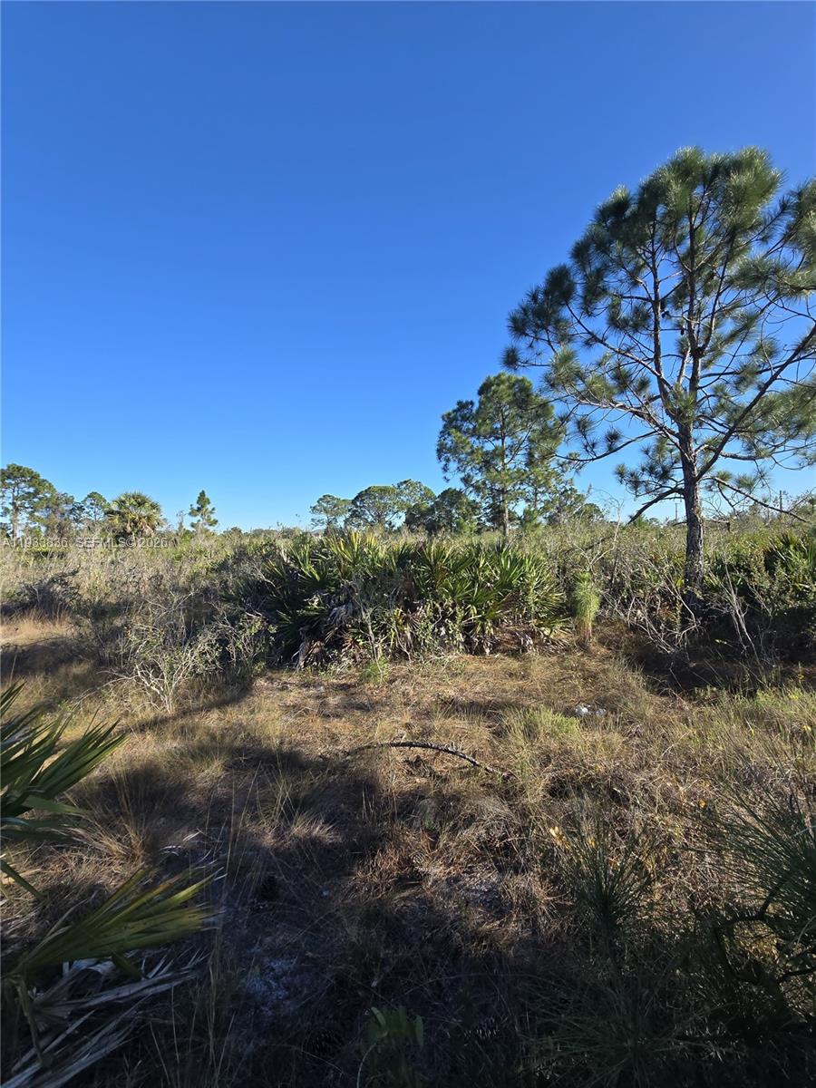 Lehigh Acres - Land