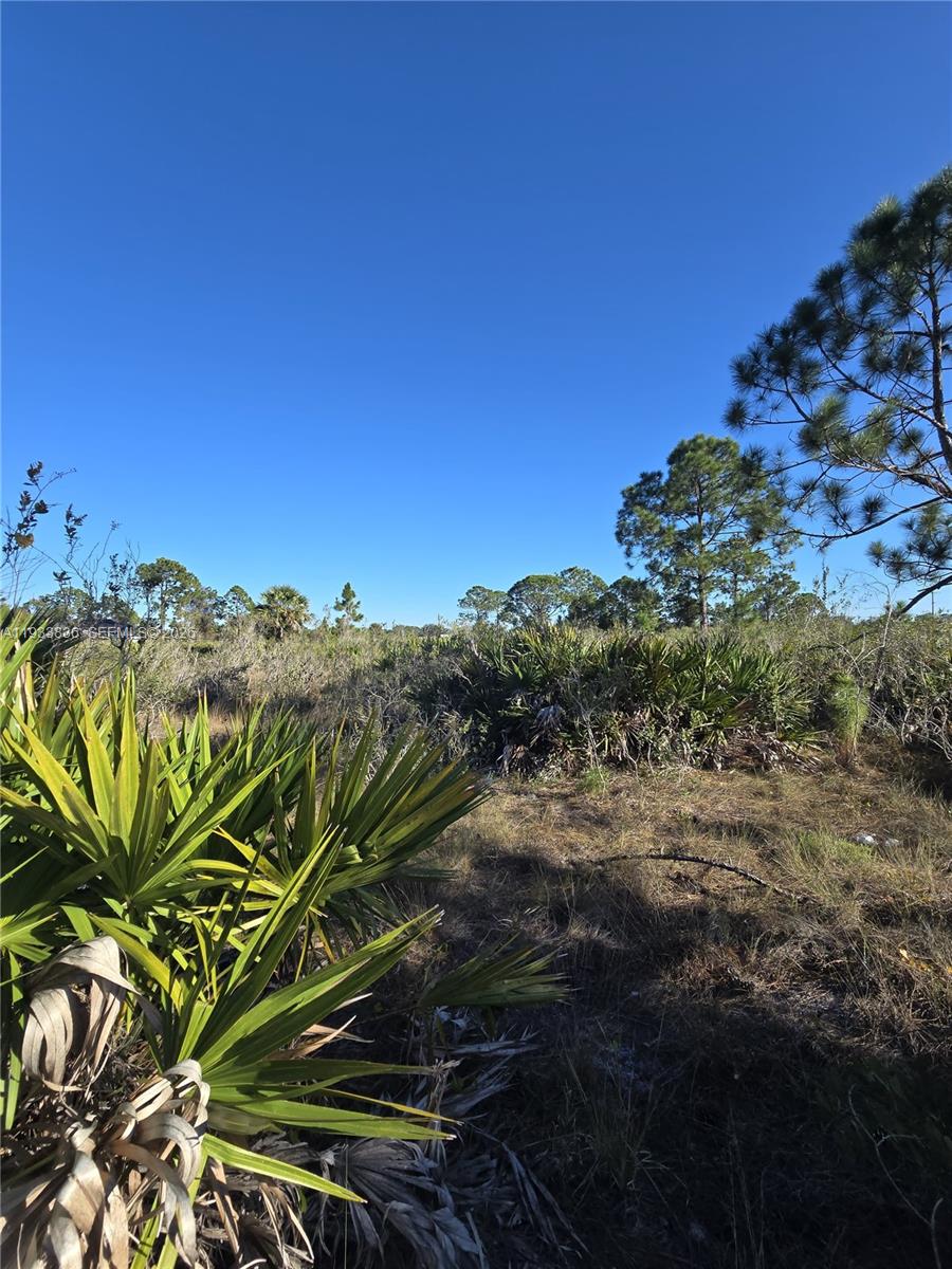 Lehigh Acres - Land
