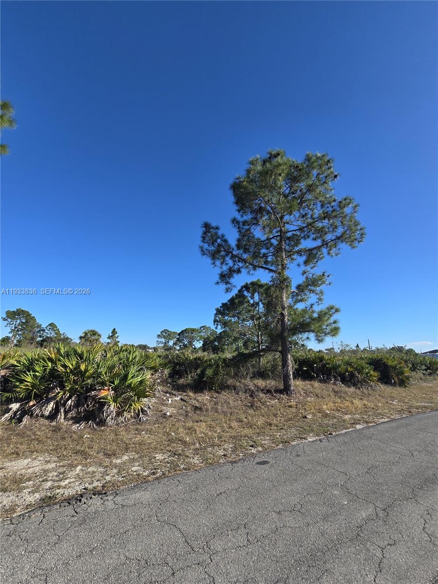Lehigh Acres - Land
