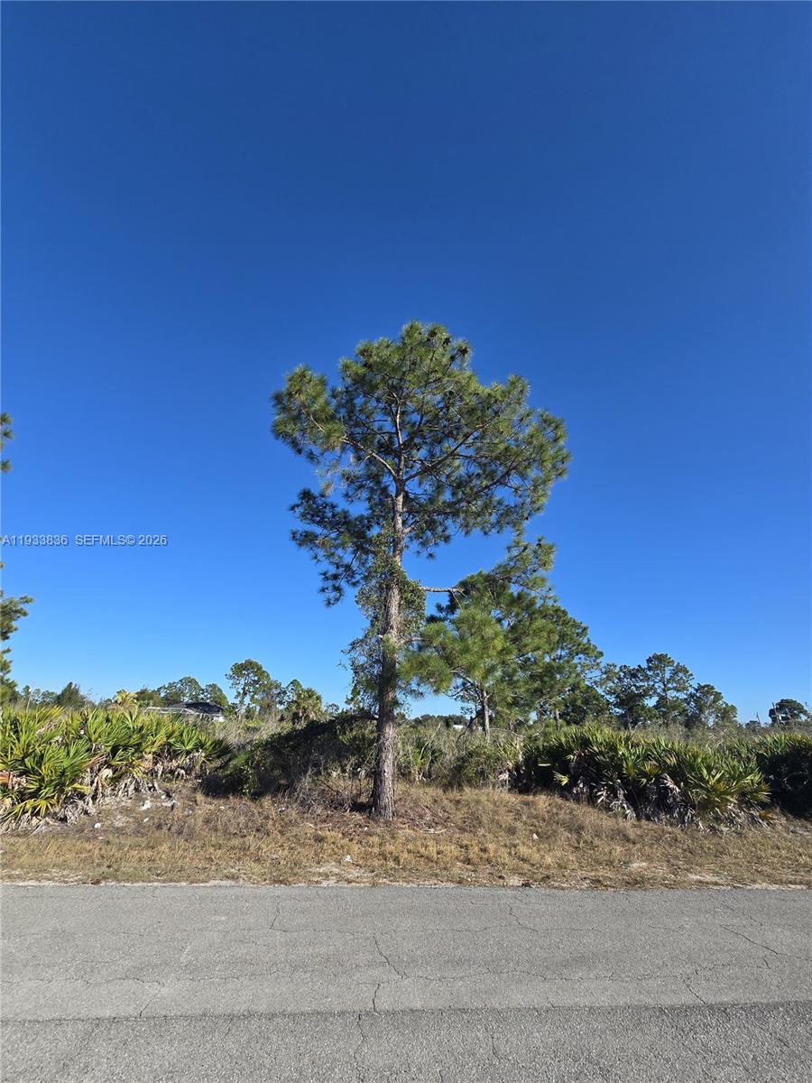 Lehigh Acres - Land