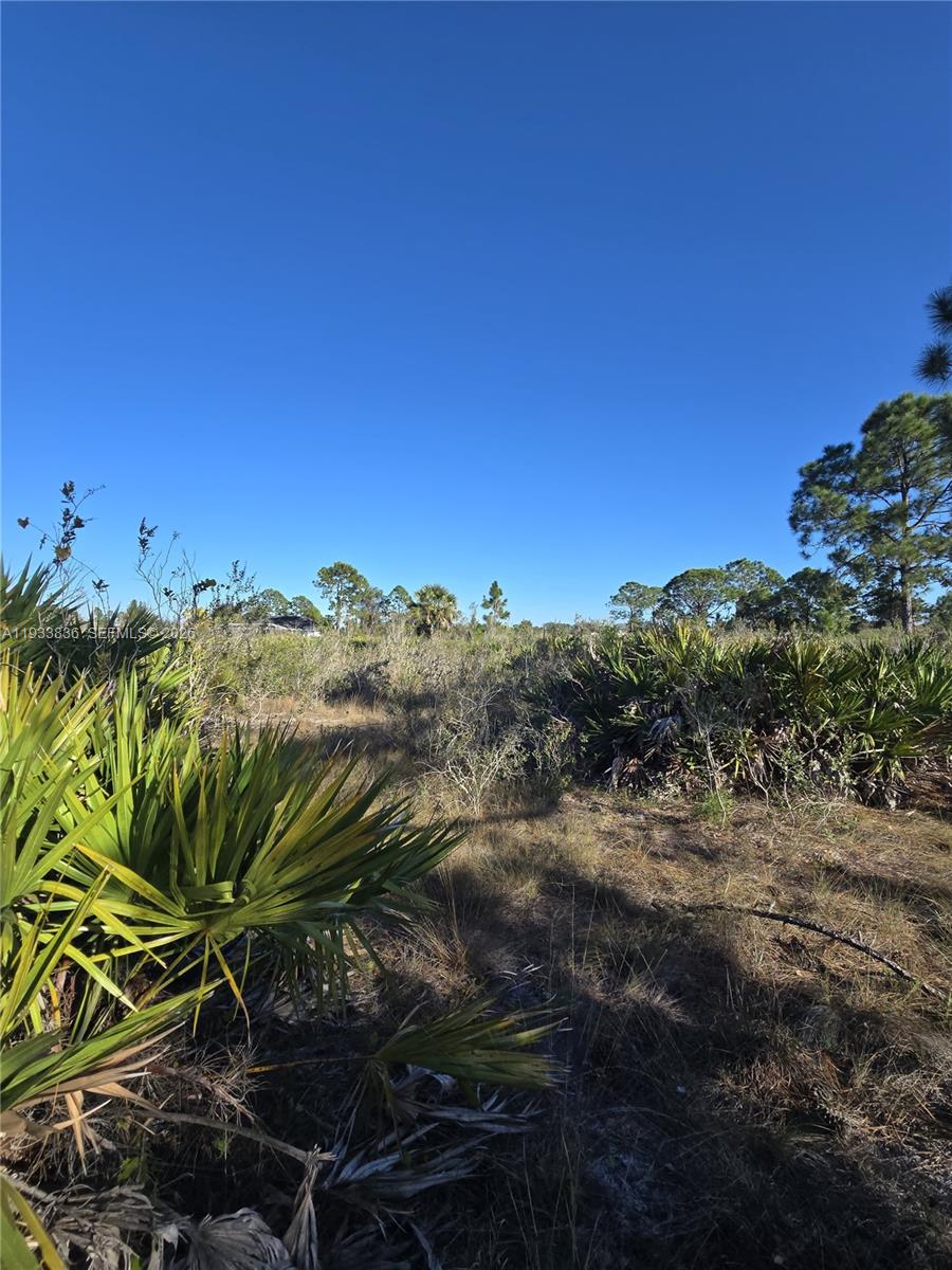 Lehigh Acres - Land