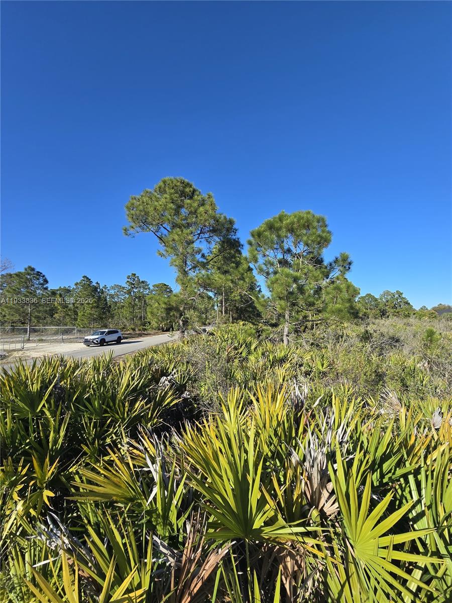 Lehigh Acres - Land