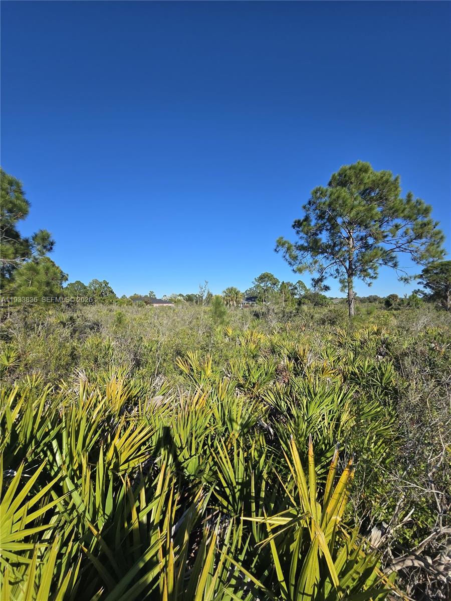 Lehigh Acres - Land
