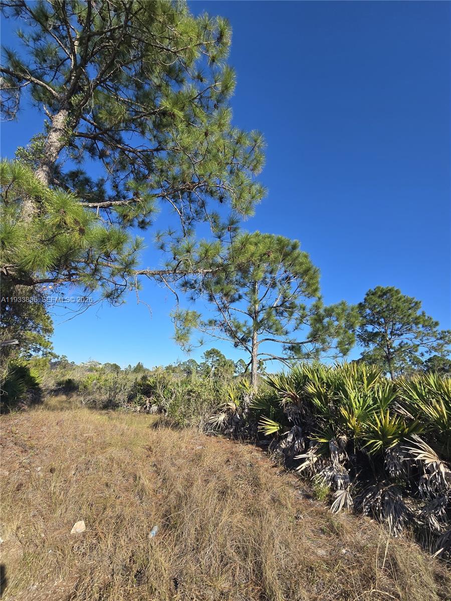 Lehigh Acres - Land