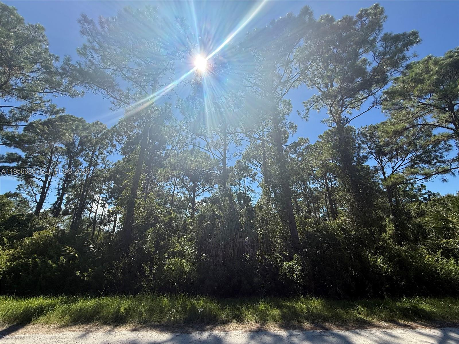 MONTURA RANCH ESTATES - Land