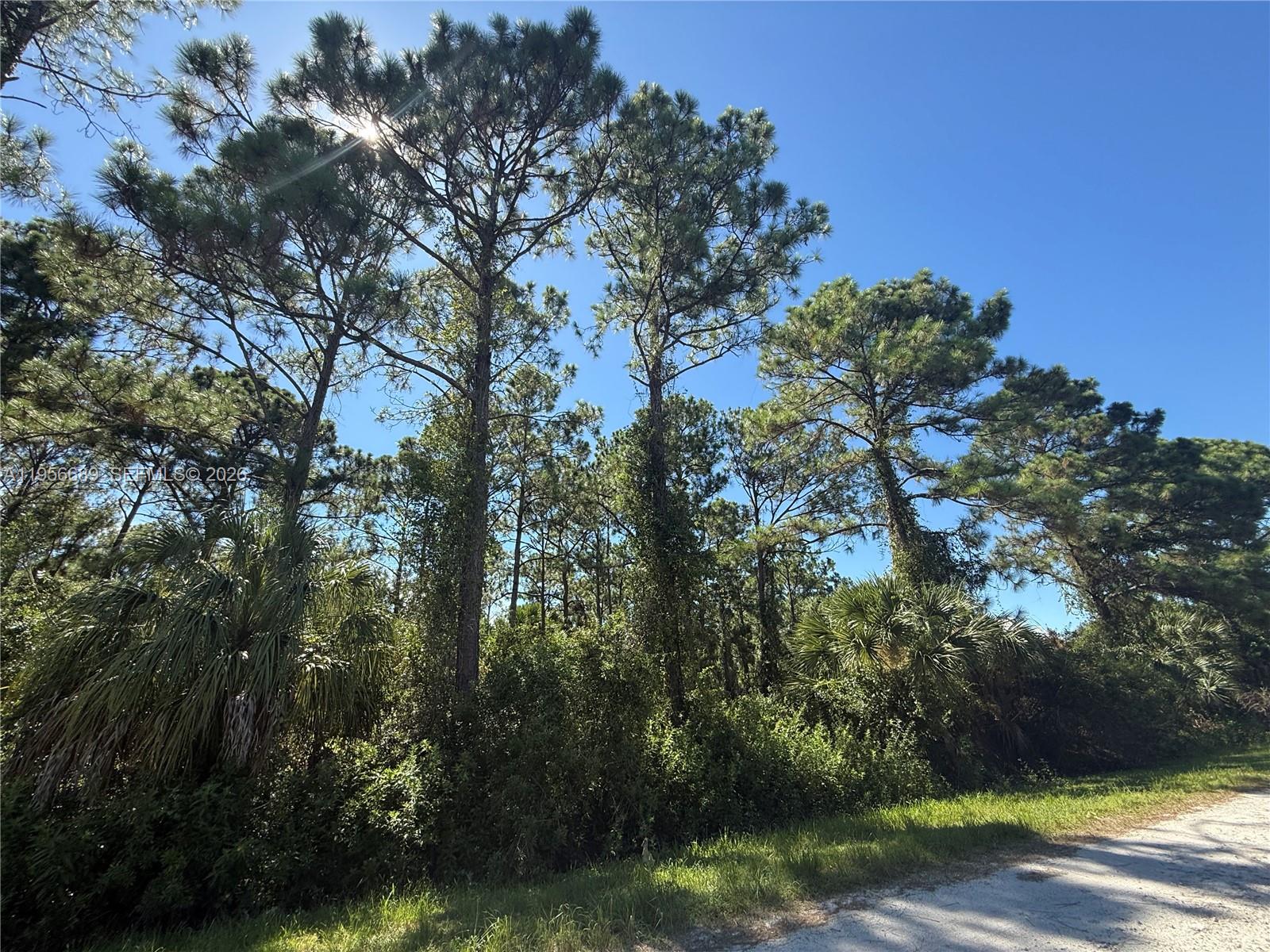 Build your Florida dream on this 1.25-acre homesite in Montura Ranch Estates, Zoned RRF (Residential Rural & Farming), this raw vacant lot offers space and flexibility for a custom home, weekend getaway, or long-term hold. No HOA, clean title, and not a wetland make this a straightforward opportunity. 
Enjoy a rural lifestyle near Lake Okeechobee, with convenient access to Clewiston and easy routes toward West Palm Beach, Fort Myers, and Miami. Buyer to verify zoning, utilities, access, and building requirements.
Highlights / Bullets