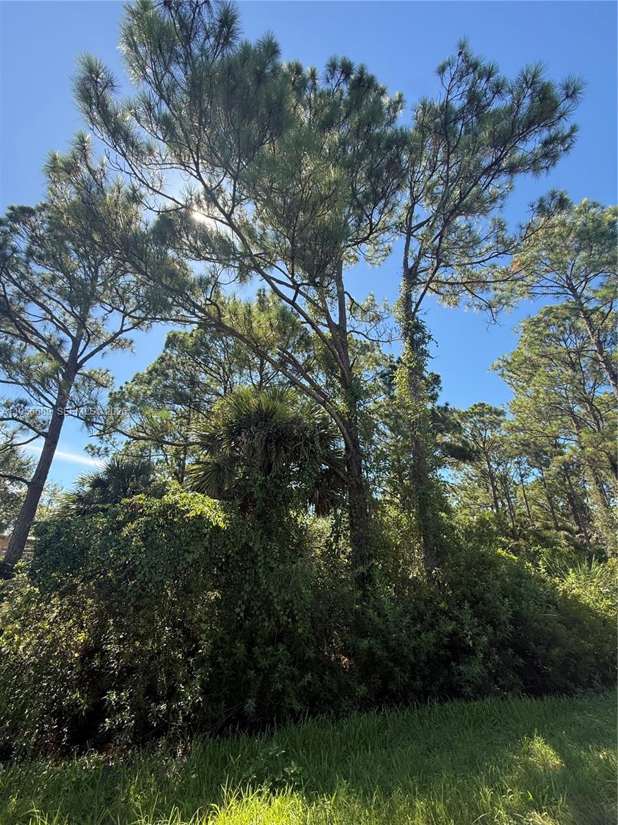 MONTURA RANCH ESTATES - Land