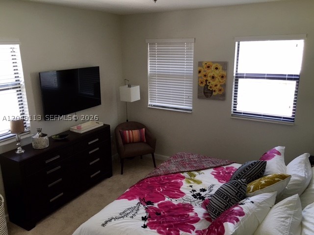 ADAGIO AT CENTRAL PARK CO - Residential
