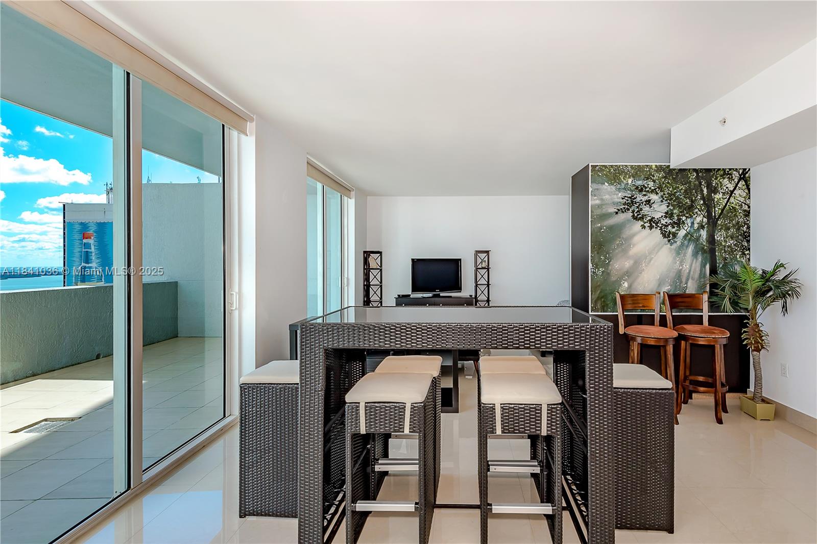 VIZCAYNE SOUTH CONDO - Residential Lease