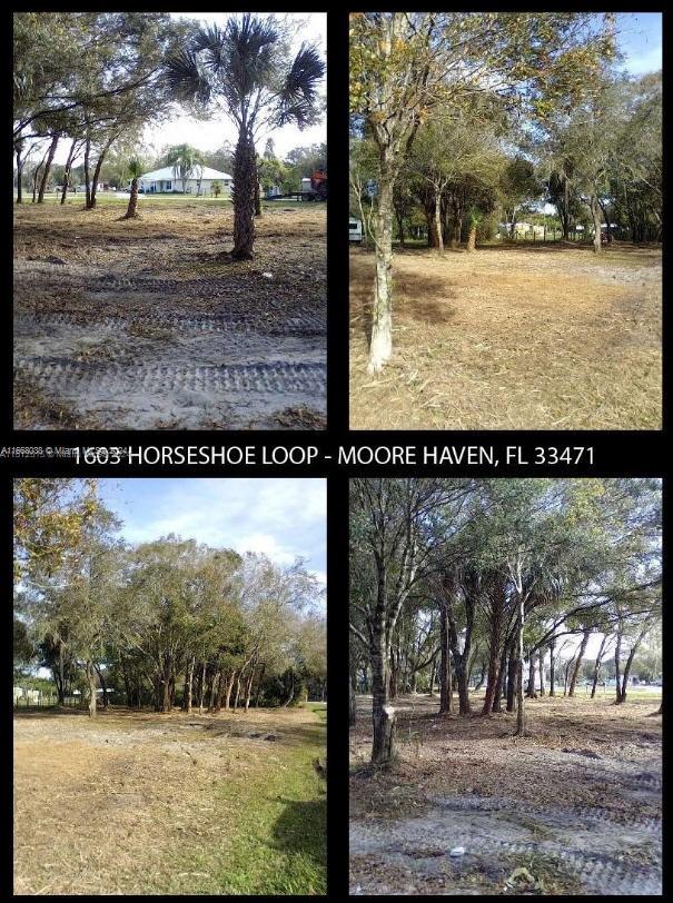 Great central location. On Paved Road. Minutes away from Ft. Myers. Land was cleared/cleaned up. Trees were not removed. Ready for your mobile home or any other residential construction. No HOA. Boundary Survey is available.