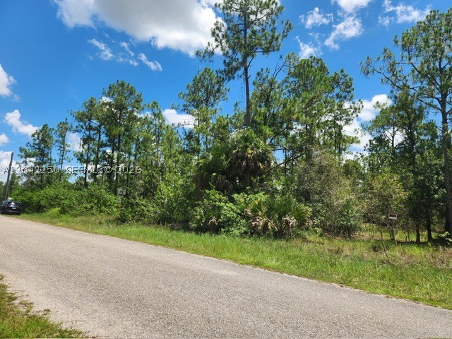 Lehigh Acres - Land