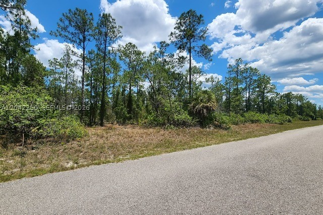Lehigh Acres - Land