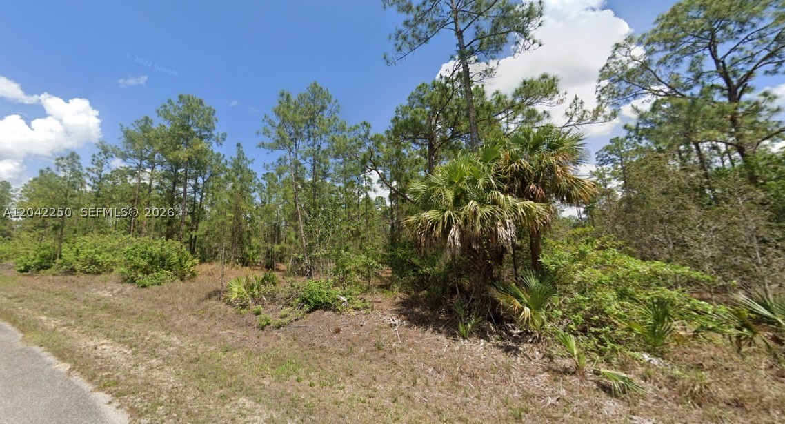 Lehigh Acres - Land