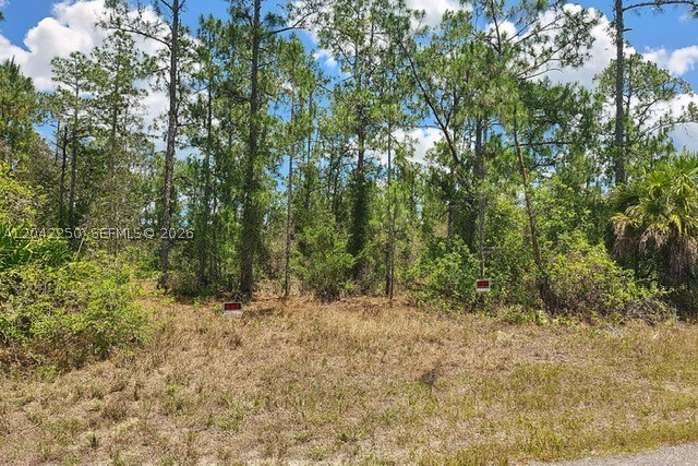 Lehigh Acres - Land