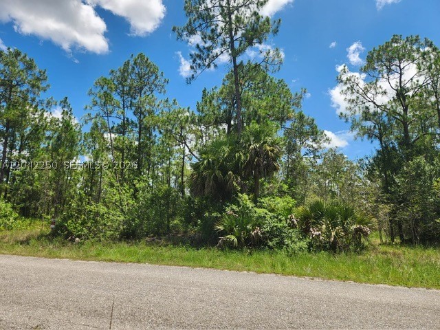 Lehigh Acres - Land