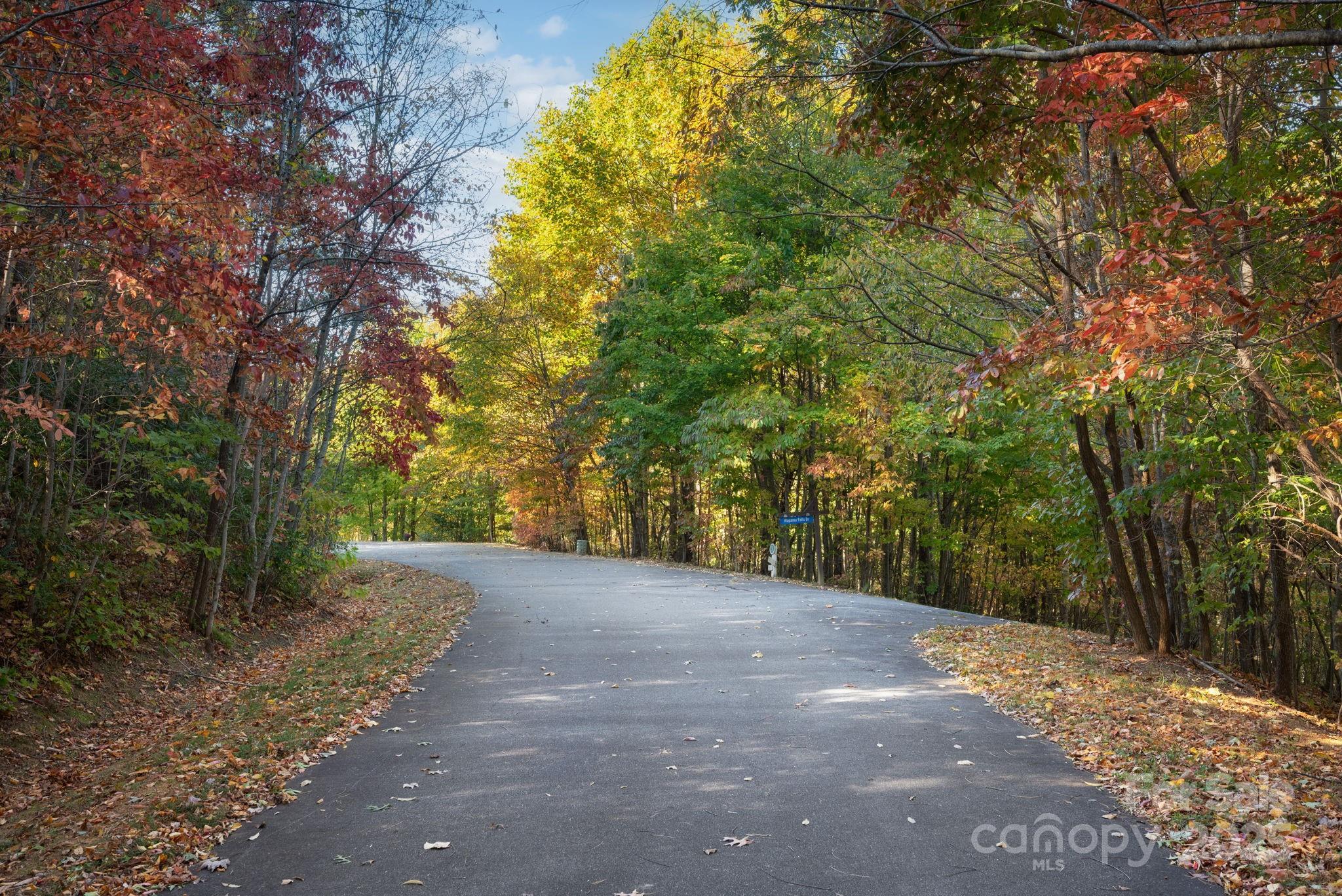 Catawba Falls Preserve - Land