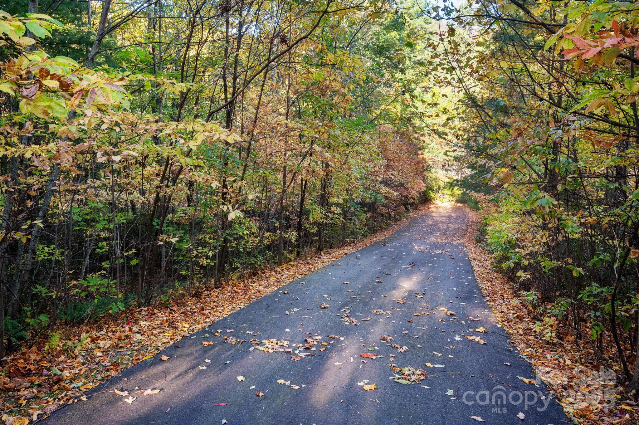 Catawba Falls Preserve - Land