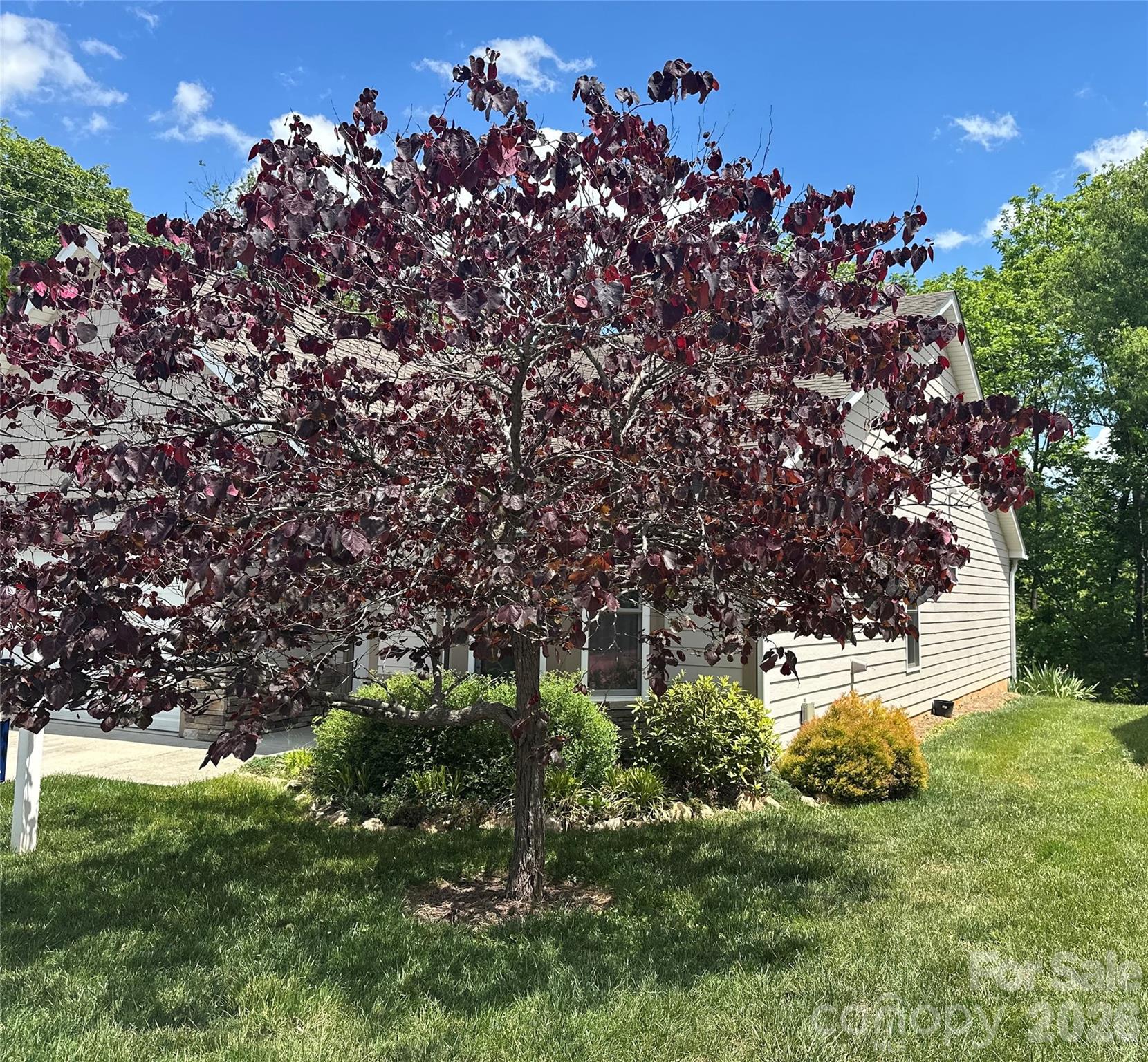 Ledbridge Vista - Residential