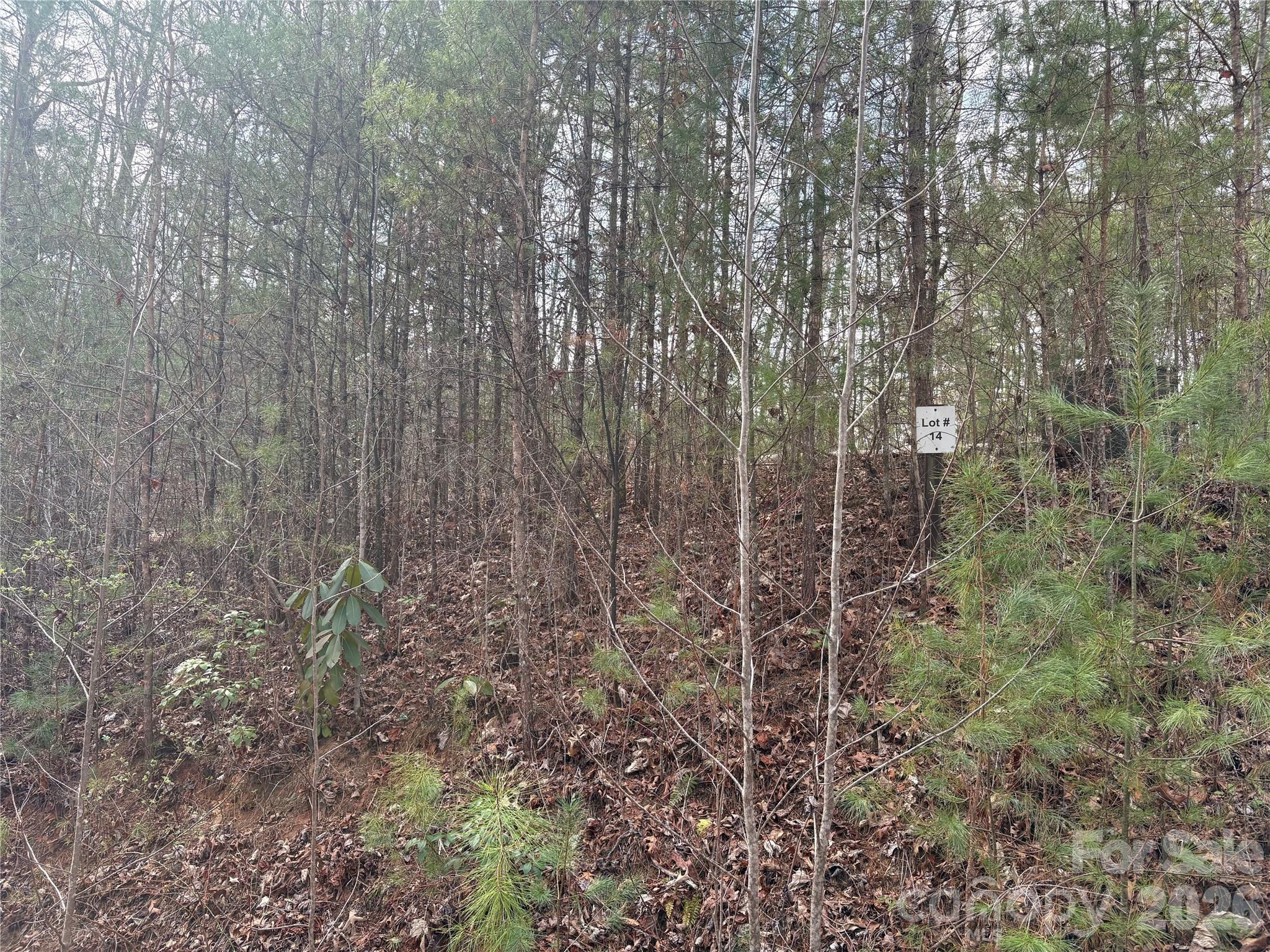 Laurel Creek - Land