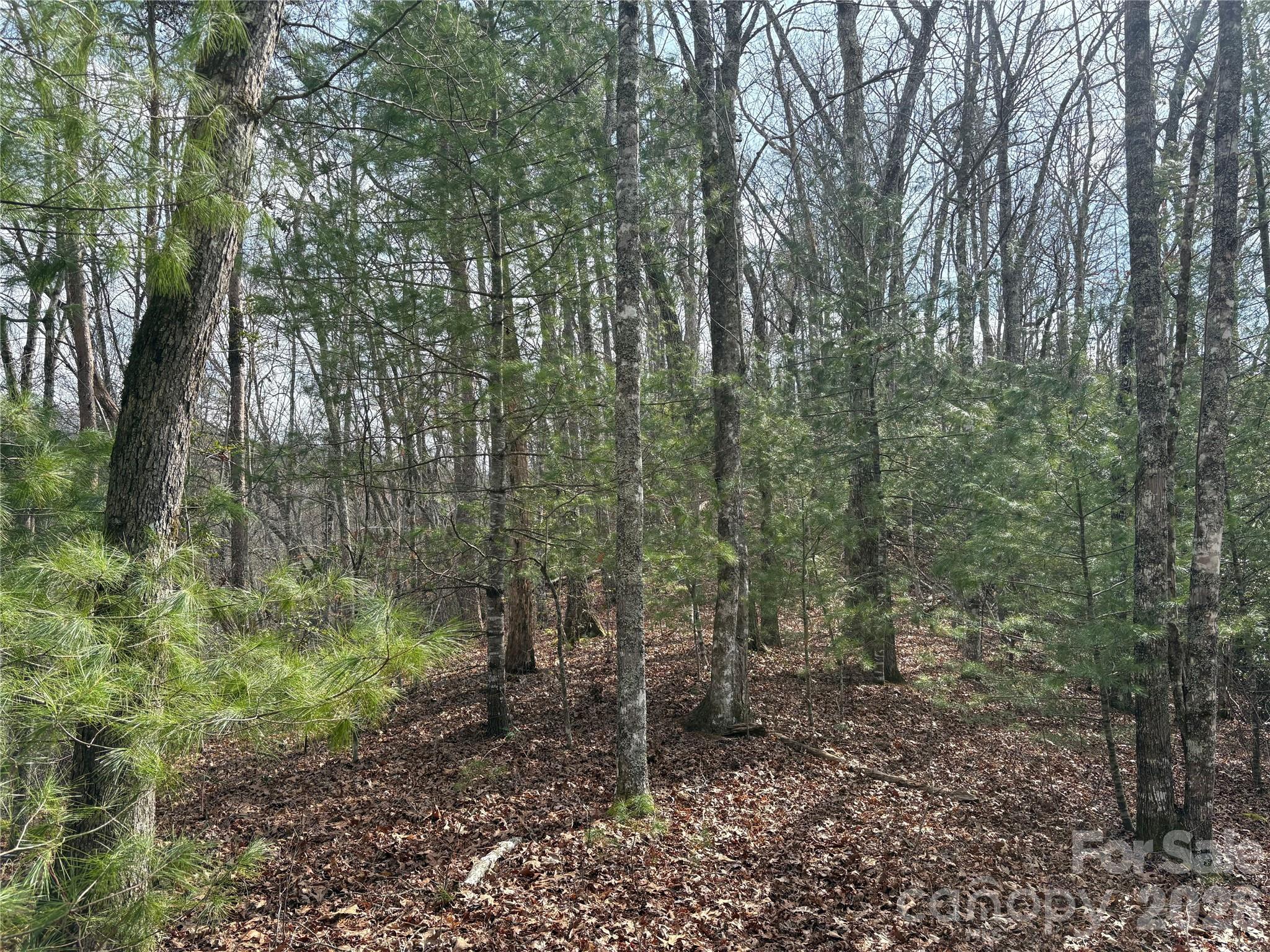 Laurel Creek - Land