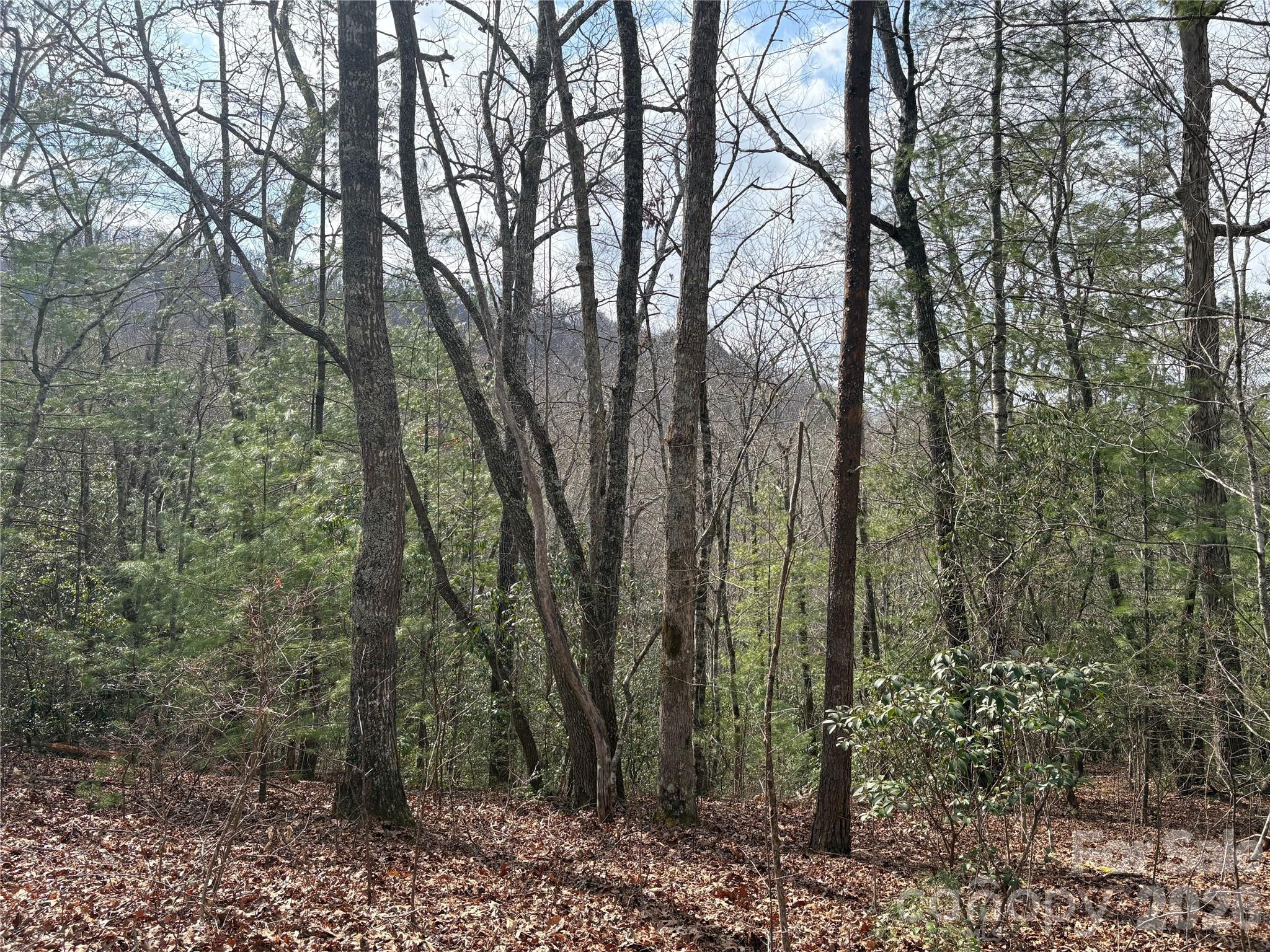 Laurel Creek - Land
