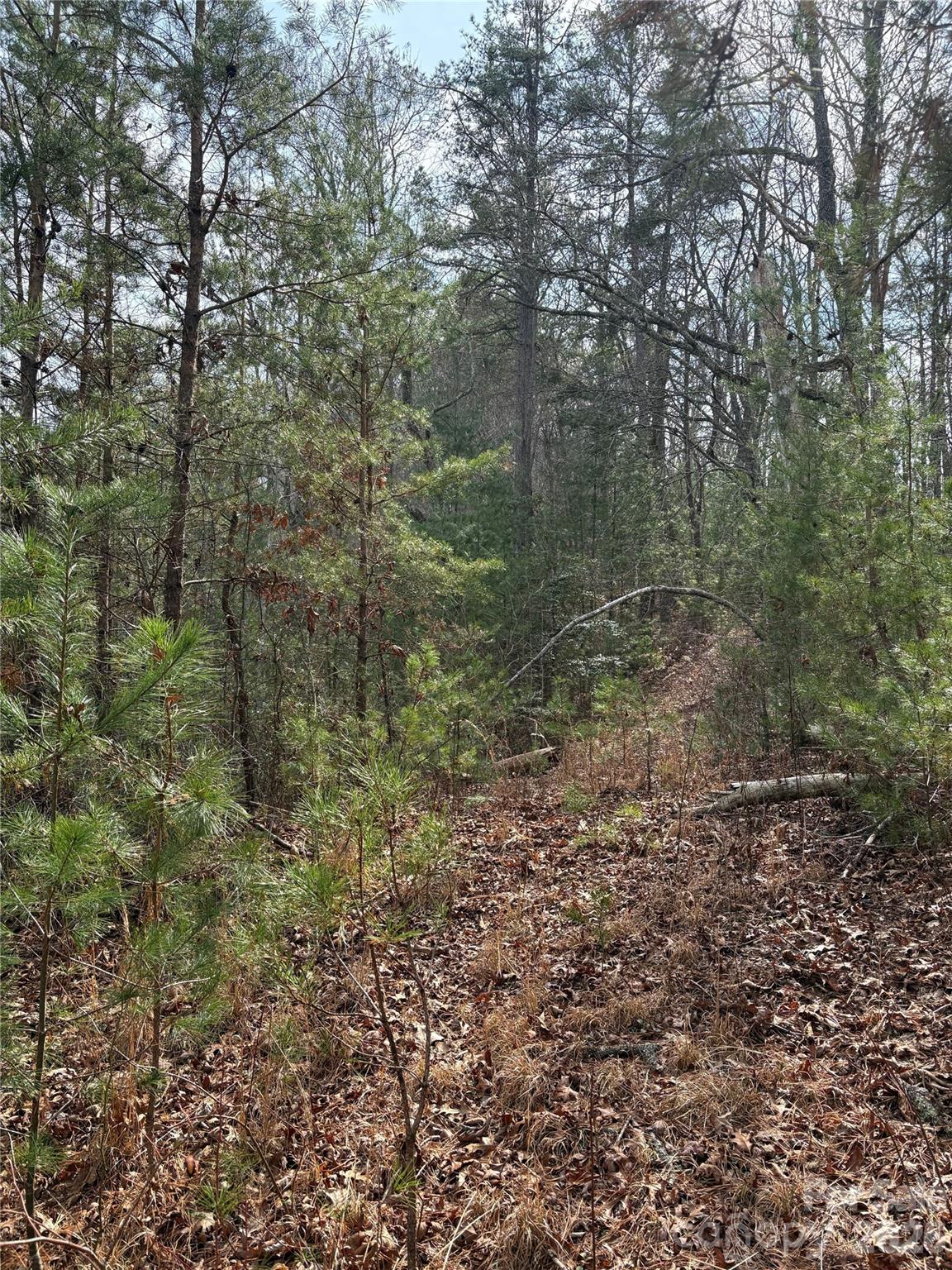 Laurel Creek - Land