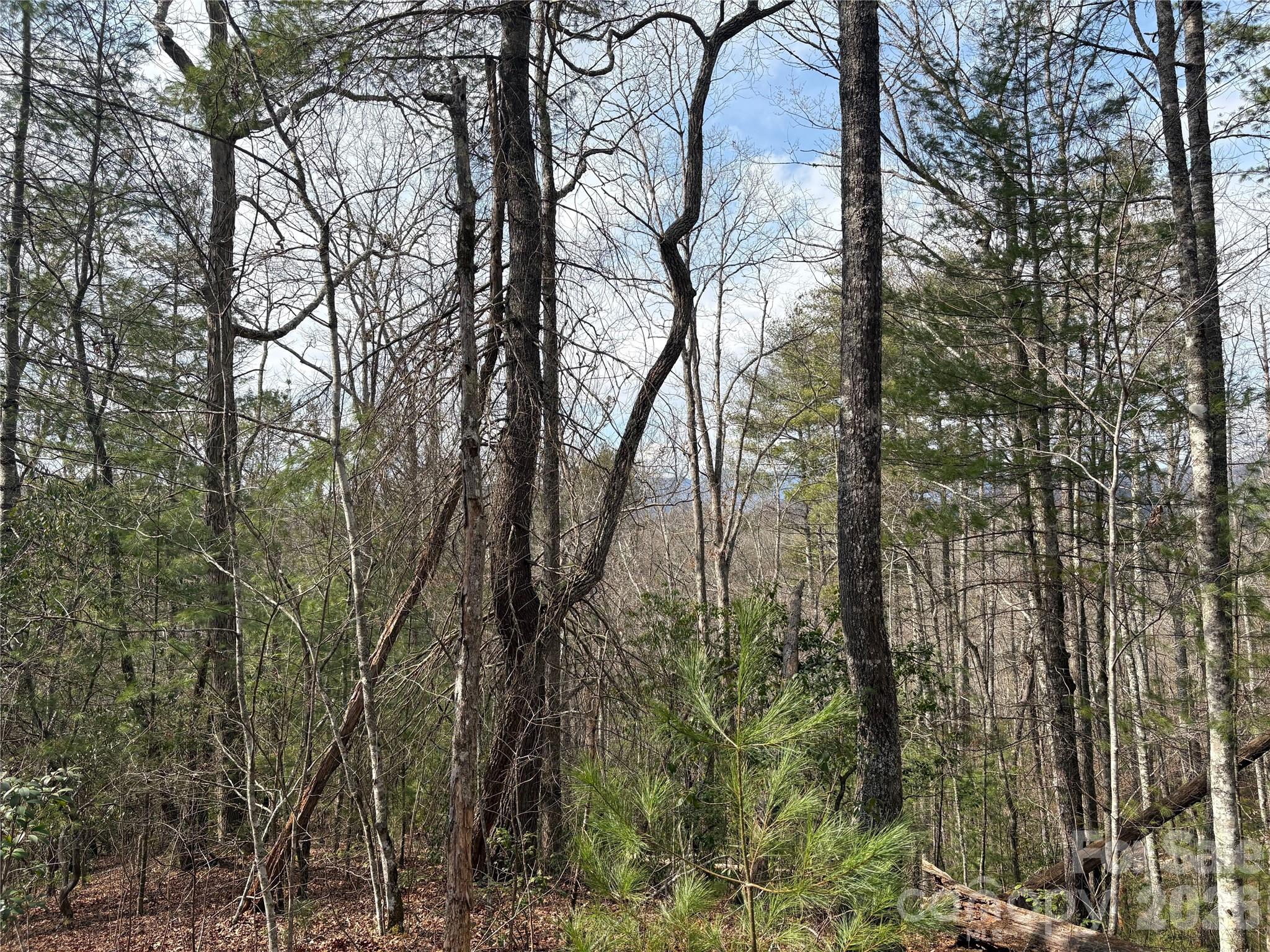 Laurel Creek - Land