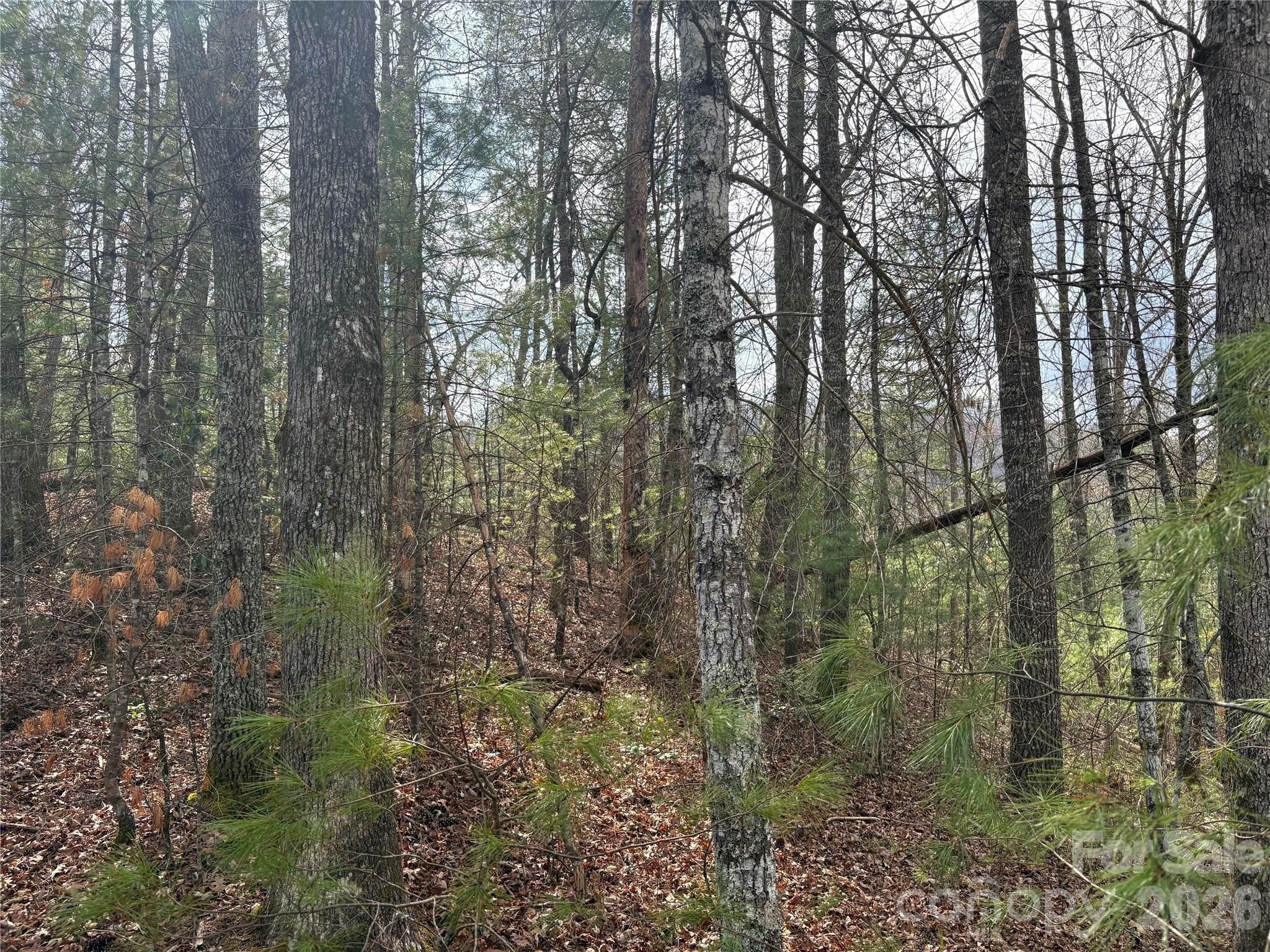 Laurel Creek - Land