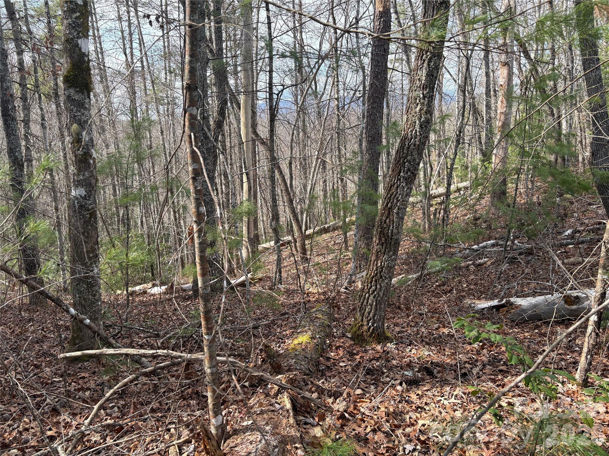 Laurel Creek - Land