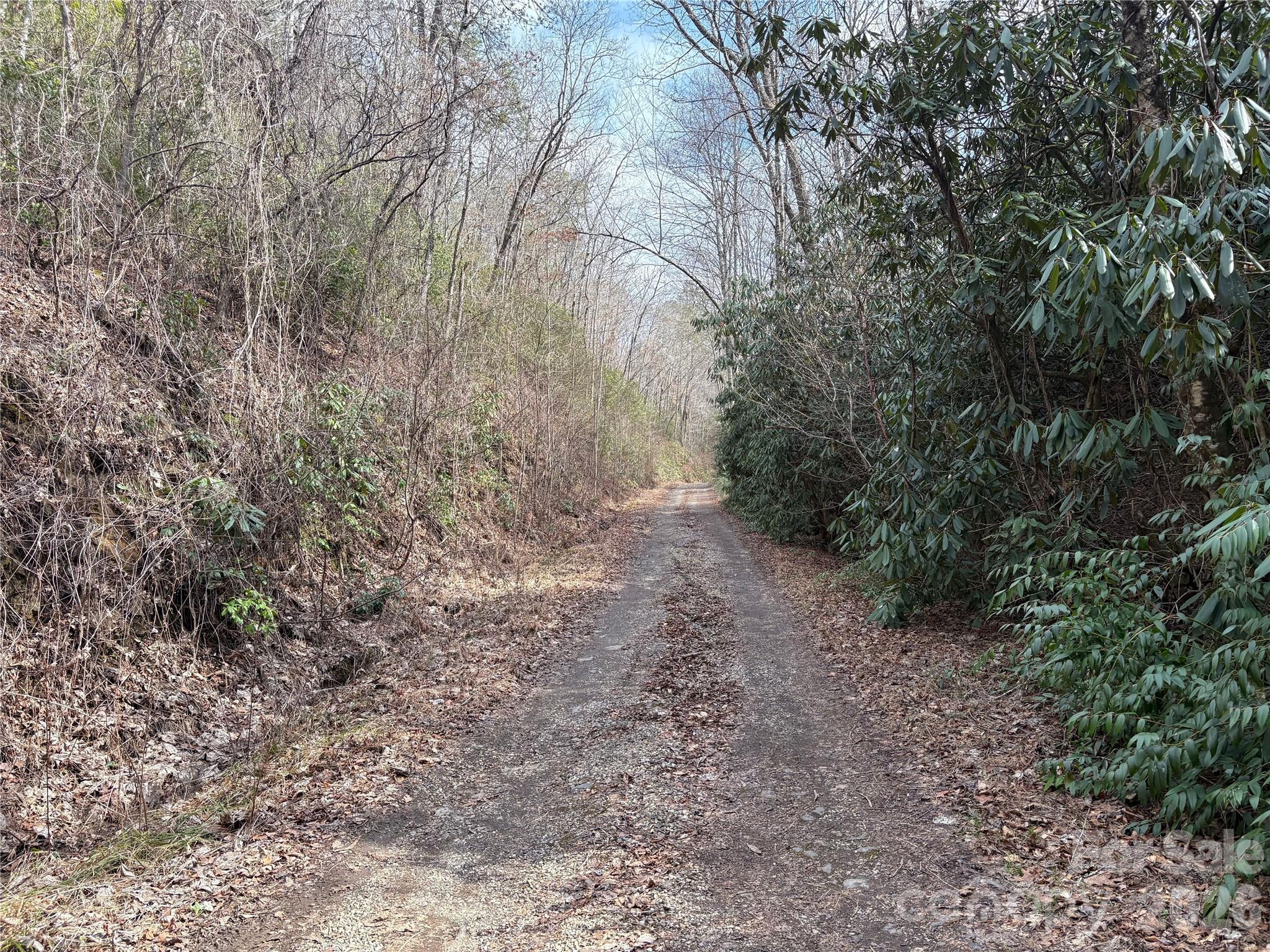 Laurel Creek - Land