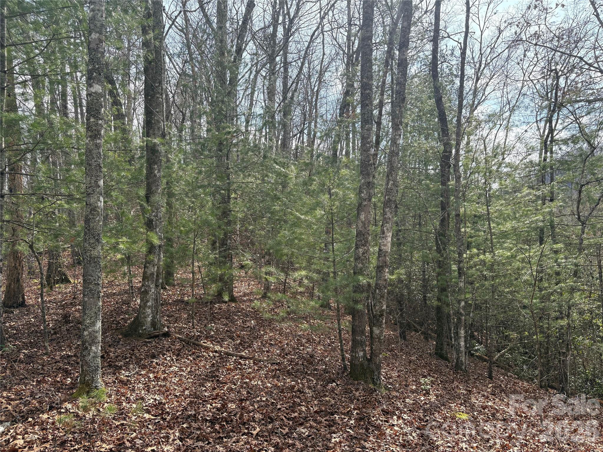 Laurel Creek - Land